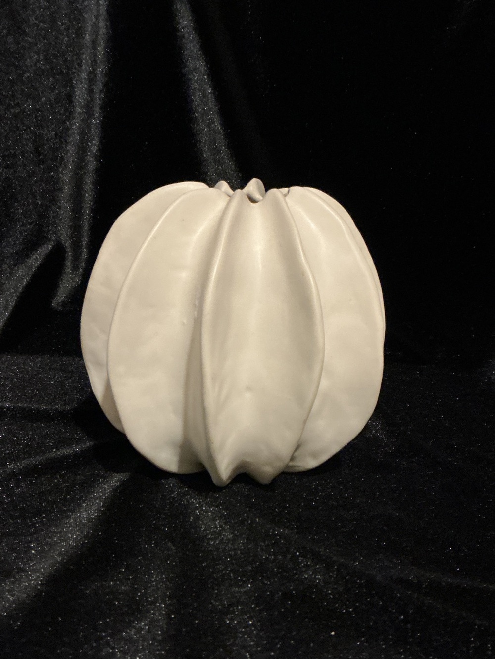 Cream Ceramic Sculptural Sea Star Vase